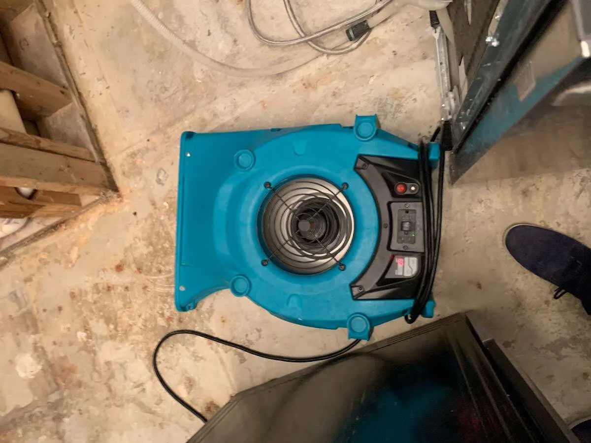 Air mover drying equipment for Mold Remediation & Removal in Falmouth